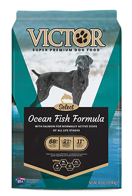 /products/ocean-fish-formula-with-salmon