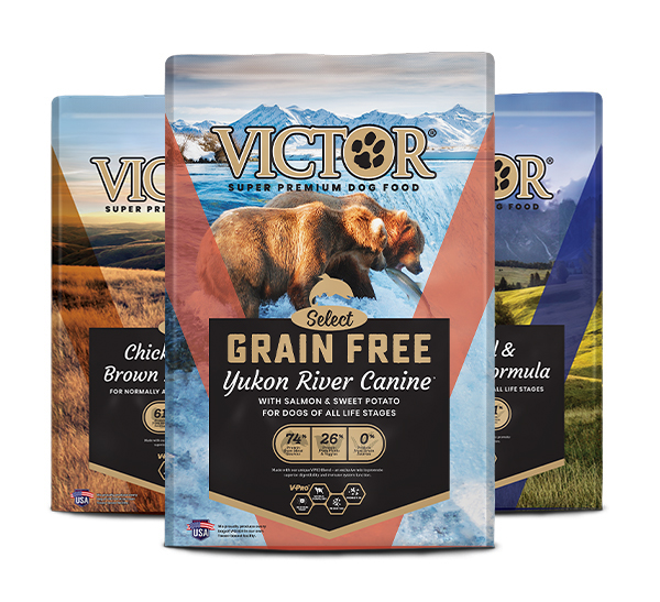 Group of three Victor Select Protein dog food bags