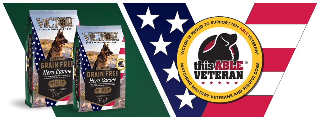 Victor hero dog food near clearance me