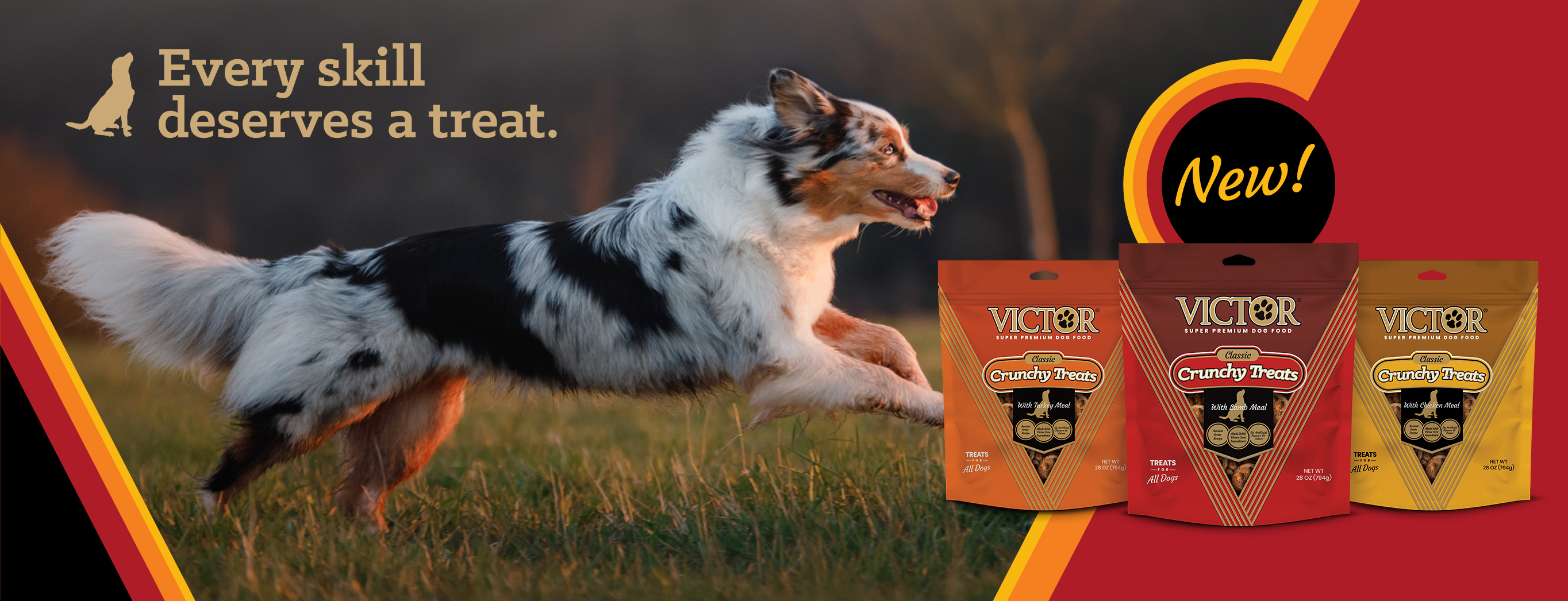 Victor dog best sale food recall 2017