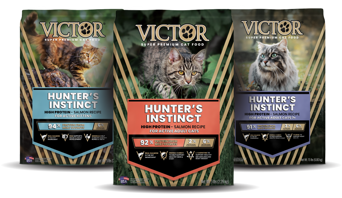 Three Options of Hunter's Instinct
