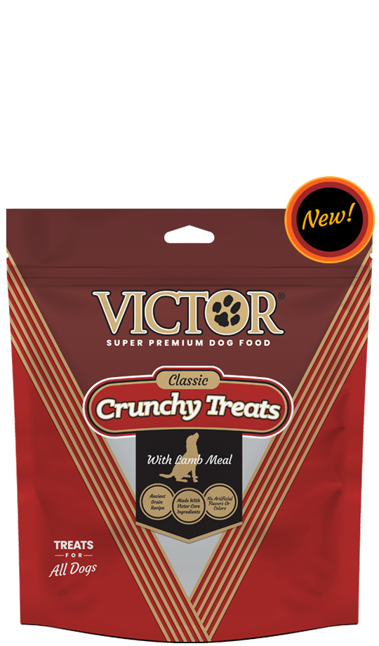 Dog Products | Victor Pet Food