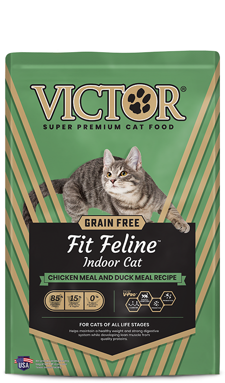 Grain free 2024 indoor cat food