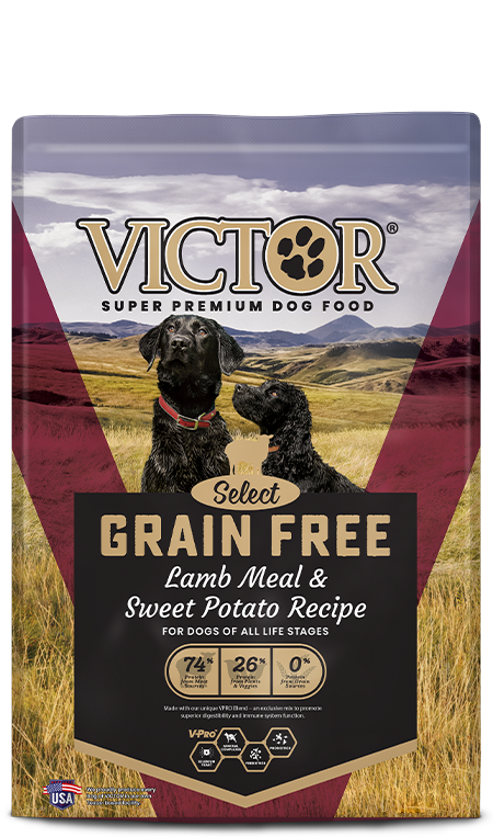 Dog Products | Victor Pet Food