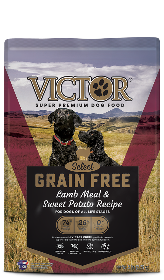 retriever dog food grain free