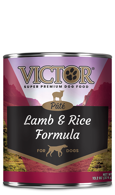 which victor dog food is best for weight gain