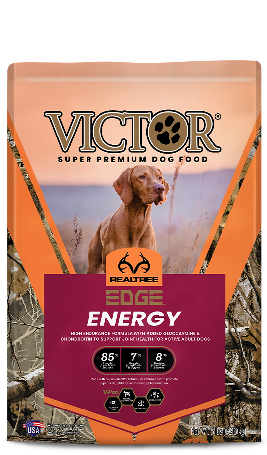 victor hi energy dog food