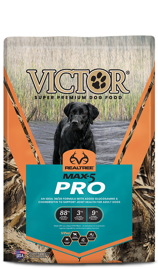 Victor hi pro plus dog 2024 food reviews