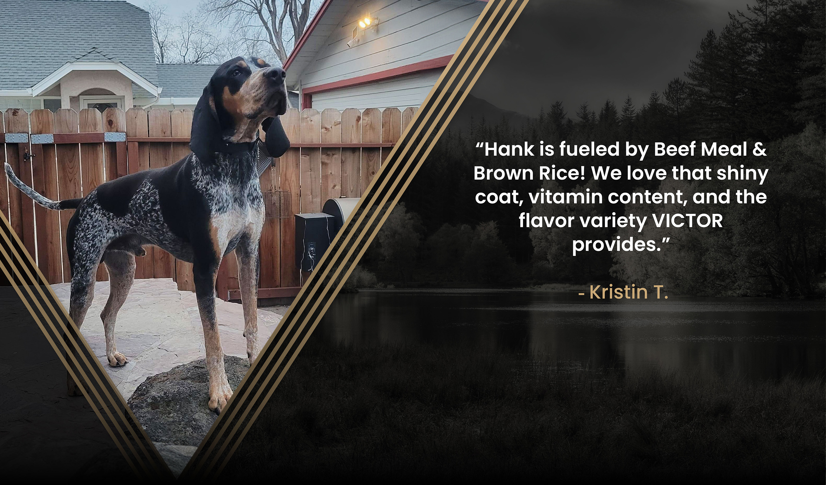 VICTOR® Crunchy Treats